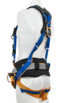 Werner Fall Protection - Harnesses
