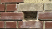 Glitter Bit - professional individual brick removal.