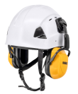 Dewalt Safety Helmet, Earmuffs